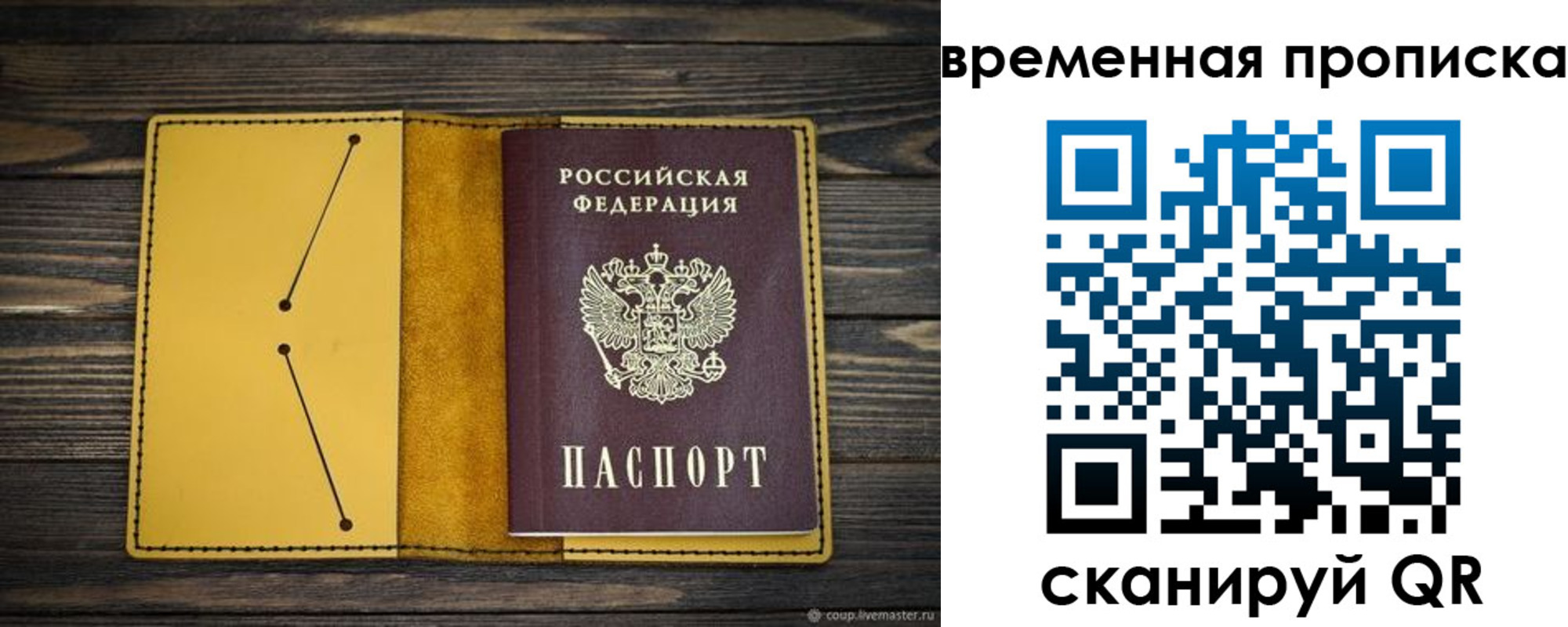 купить прописку в Саратовской области